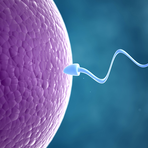 Infertility Treatment In Mushi,Pune