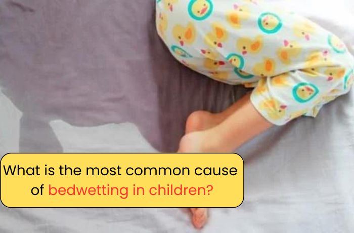 What is the most common cause of bedwetting in children?